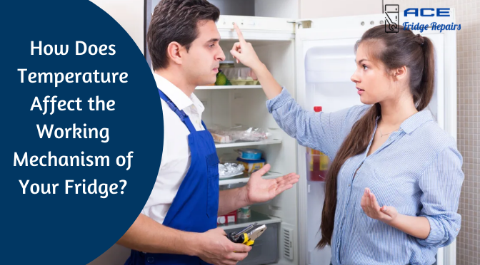How Does Temperature Affect the Working Mechanism of Your Fridge?