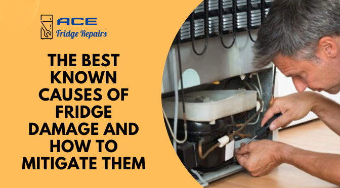 The Best Known Causes of Fridge Damage and How To Mitigate Them