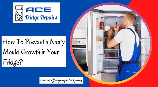 How To Prevent a Nasty Mould Growth in Your Fridge?