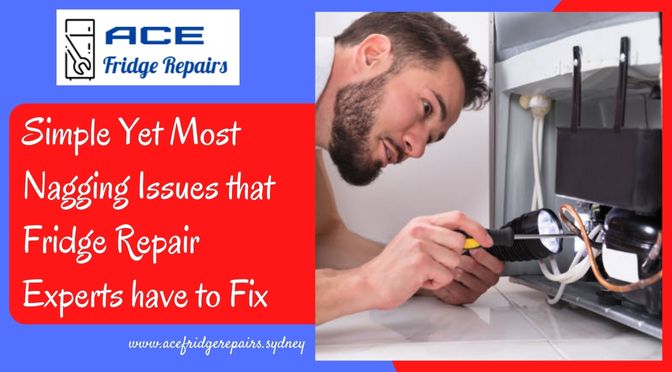 Simple Yet Most Nagging Issues that Fridge Repair Experts have to Fix
