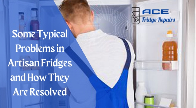 Some Typical Problems in Artisan Fridges and How They Are Resolved