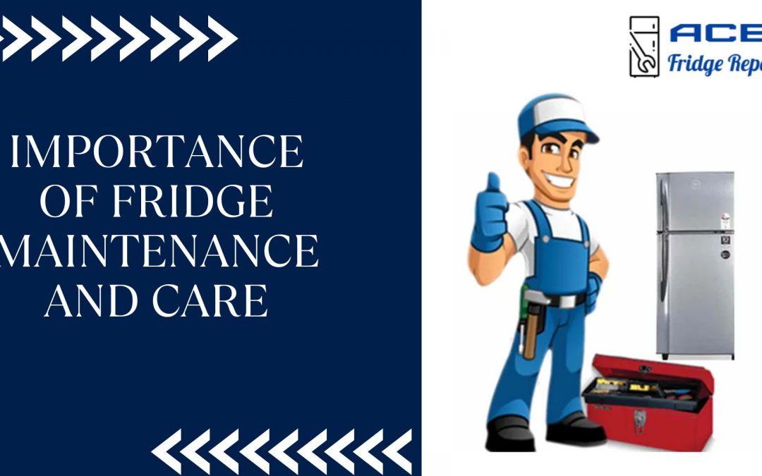 Importance of Fridge Maintenance and Care